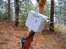 Feedpoint to the pennant receive antenna